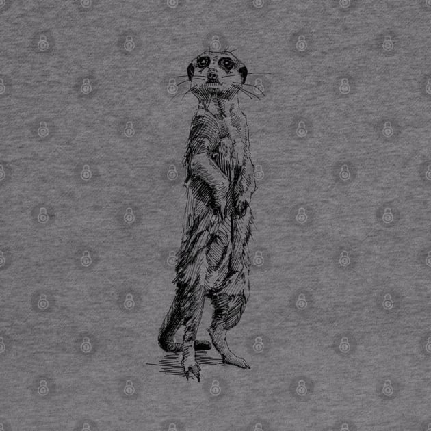 Meerkat Ink Drawing by Fireside Press